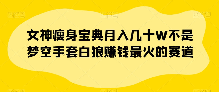 女神瘦身宝典：月入几十万的暴利赛道揭秘，空手套白狼赚钱秘籍-54创业网