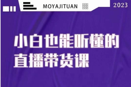 大威本威能听懂的直播带货课，小白也能听懂，20节完整