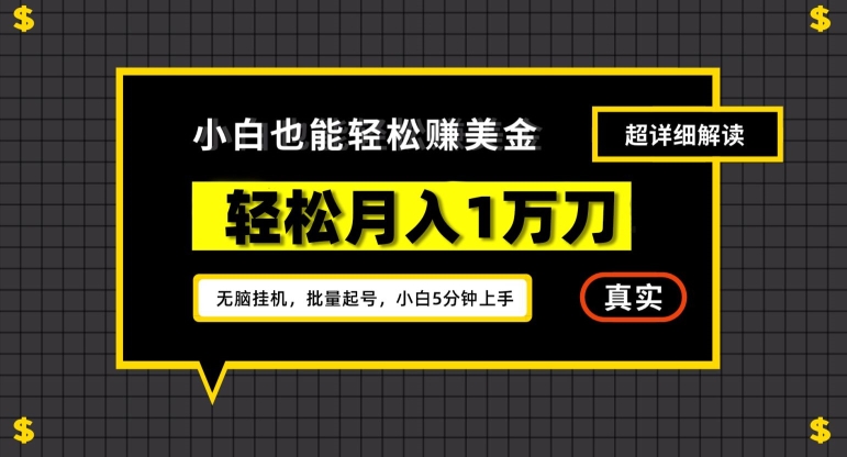 谷歌看广告撸美金2.0，无脑自动运行，多号操作，月入1万刀【揭秘】