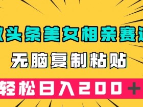 冷门美女相亲赛道：无脑复制粘贴轻松日入200+，新手必看暴利玩法-54创业网