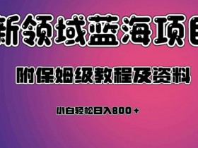 虚拟资源项目：蓝海领域轻松日入800+，保姆级教程资料全包-54创业网