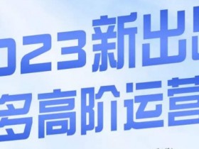 大炮·多多高阶运营课：3大爆款玩法实操，快速打造拼多多爆款-54创业网