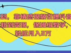 抖音情感视频涨粉变现：保姆级教学揭秘，小白轻松月入2万-54创业网