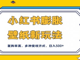 小红书膨胀壁纸变现攻略：前端引流+私域组合玩法，轻松入500+-54创业网