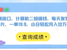 计算机二级搞钱秘籍：发图日赚19.9，小白轻松月入过万！-54创业网