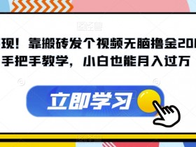 暴力变现：搬砖发视频日赚2000+！手把手教学小白月入过万【揭秘】-54创业网