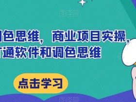 商业项目达芬奇调色实操：软件技巧与调色思维全打通-54创业网