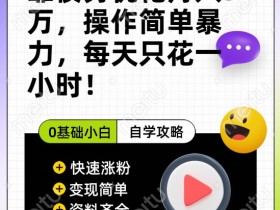 债务优化轻松月入5万：每天2小时多种变现方式大揭秘-54创业网