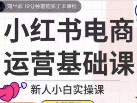 小红书电商运营入门：新手小白从0到1实操指南-54创业网