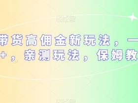 多多带货高佣金新玩法：日赚300+保姆教程，亲测有效！-54创业网