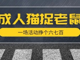 成人版猫捉老鼠游戏揭秘：轻松一场活动赚六七百，玩法技巧大公开-54创业网