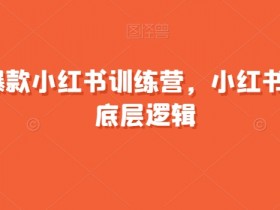 21天小红书爆款训练营：掌握爆款底层逻辑，快速打造热门笔记-54创业网