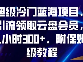 冷门蓝海项目：云盘会员1小时赚300+，附保姆级引流教程-54创业网