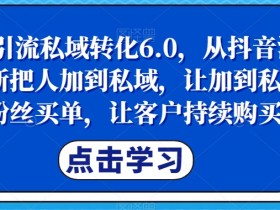 抖音私域引流6.0：3步把抖音粉丝变客户，持续成交秘诀-54创业网