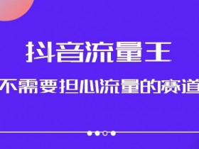 抖音美女图文音乐号：流量王赛道实操+养号全流程，爆款玩法升级-54创业网
