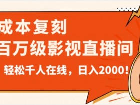 0成本复刻抖音百万级影视直播间：日入2000千人在线秘籍（价值9800）-54创业网
