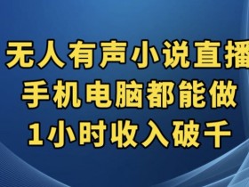抖音无人直播赚钱秘籍：手机电脑1小时收入破千，有声小说玩法大揭秘-54创业网