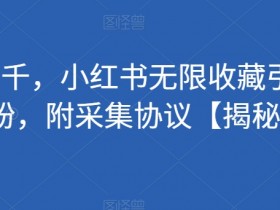 价值5000的小红书无限收藏引流秘籍：创业粉采集协议大揭秘-54创业网
