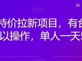 京喜特价拉新赚钱攻略：单人日赚500+，有电脑就能操作-54创业网