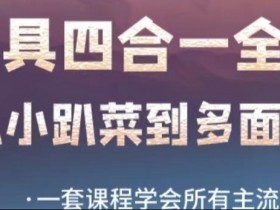 AI工具全能课：从小趴菜到AI多面手，一套掌握所有主流AI工具-54创业网