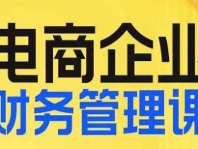 电商财税管理线上课：电商企业如何高效规划财税？-54创业网