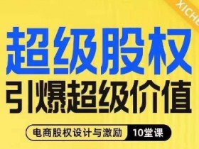 电商股权激励10堂课：超级股权设计引爆企业价值增长-54创业网