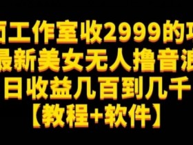 揭秘2999元美女无人撸音浪项目：日赚几百到几千教程+软件-54创业网