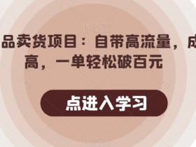 情趣用品卖货项目：高流量易出单，一单赚百元，新手也能轻松上手-54创业网