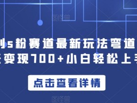 yw计划s粉赛道新玩法：小白轻松上手，单天变现700+弯道超车-54创业网