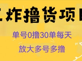0撸30单日赚秘籍：王炸撸货项目多号暴利玩法揭秘-54创业网