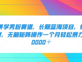 二手男粉变现：无脑矩阵月入2万+的蓝海赛道-54创业网