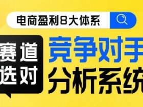 电商盈利秘诀：8大体系+赛道选择+竞对分析实战课-54创业网