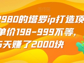 2980元塔罗IP项目：5天赚2000实操揭秘，198起单价轻松变现-54创业网