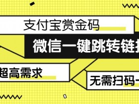微信跳转支付宝赏金教程：日赚500的链接制作拆解揭秘-54创业网