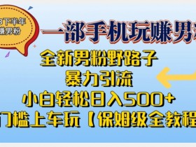2023男粉野路子暴力引流教程：0门槛日入500+，小白保姆级全攻略-54创业网