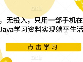 闲鱼卖Java资料赚钱：0门槛手机副业，轻松实现躺平生活揭秘-54创业网