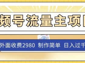 视频号流量主项目：2980元课程免费教，无脑操作日赚1000+-54创业网