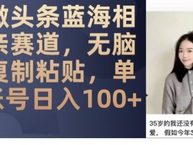 相亲副业日赚100+：微头条蓝海项目，无脑复制粘贴教程-54创业网