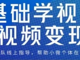 0基础学视频号变现：新人必学的短视频赚钱课-54创业网