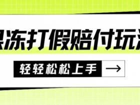 果冻食品打假赔付：一单赚上千的详细视频教程揭秘-54创业网