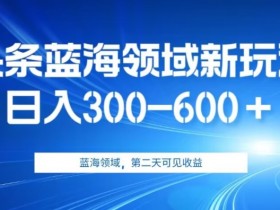 AI蓝海新玩法2.0：日赚300-600的野路子，保姆级教程大公开-54创业网