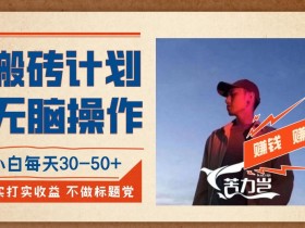 小白无脑搬砖计划：每天稳赚30-50+零风险不封号【实操揭秘】-54创业网