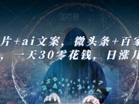 AI图片文案赚钱新玩法：微头条百家号日涨粉几百，轻松日入30零花钱-54创业网