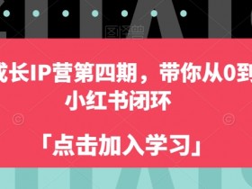 小红书自媒体从0到1实战：第四期成长IP营闭环训练-54创业网