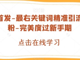 最右关键词精准引流创业粉：全球首发新手期快速变现秘籍-54创业网