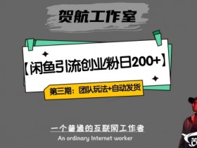 闲鱼创业粉暴力引流：日引200+全自动发货团队闭环模式揭秘-54创业网