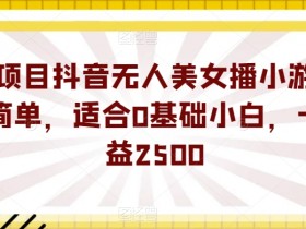 抖音无人直播小游戏项目：0基础小白7天赚2500，美女播蓝海玩法大揭秘-54创业网