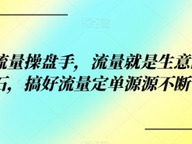 公域流量操盘手：掌握流量变现秘诀，让订单自动找上门-54创业网