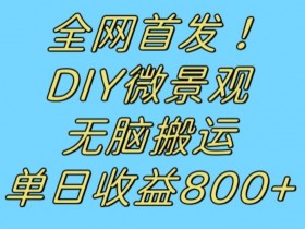 冷门DIY微景观赚钱：无脑搬运视频日赚800+，新手必看！-54创业网