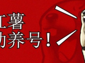 小红书养号涨粉秘籍：3步打造高权重账号，自动涨粉+精准标签系统-54创业网